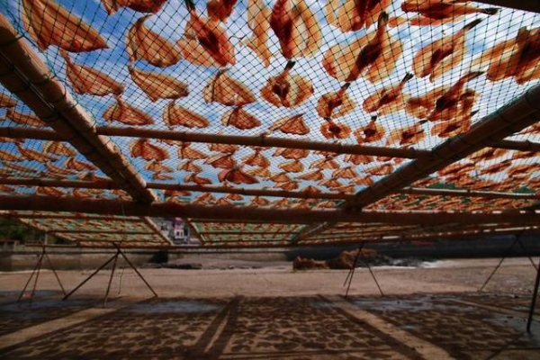 早读社丨109国冷链食品输华 海关总署紧急沟通磋商-3.jpg