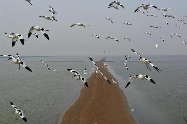 早读社丨109国冷链食品输华 海关总署紧急沟通磋商-5.jpg