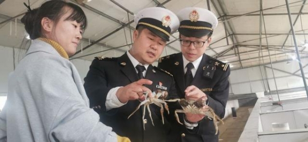 济南海关助力特色产品“黄河口大闸蟹”开拓国际市场-2.jpg