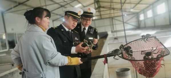 济南海关助力特色产品“黄河口大闸蟹”开拓国际市场-3.jpg
