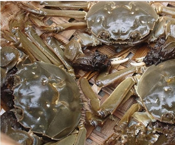 海关检1.3万只怀疑走私大闸蟹 属历来最大宗-1.jpg