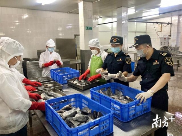 龙湖海关携手企业：同心同向纾困境 同力同行共发展-3.jpg