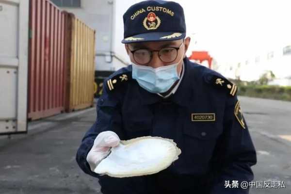 【国门利剑2020】全国各地打击走私案件速览-4.jpg