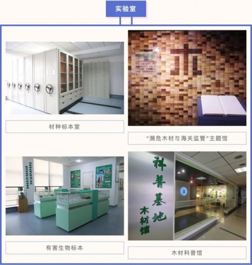 走进国家材种鉴定与木材检疫重点实验室-4.jpg