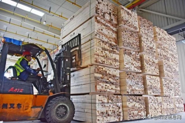 武汉首家进口木材保税加工入驻阳逻港园区-2.jpg