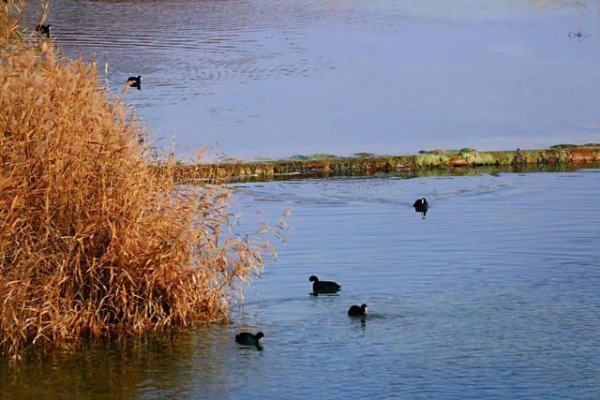 这个冬季，来兰州新区开启阳光之旅  冬春旅游暖心指南-1.jpg
