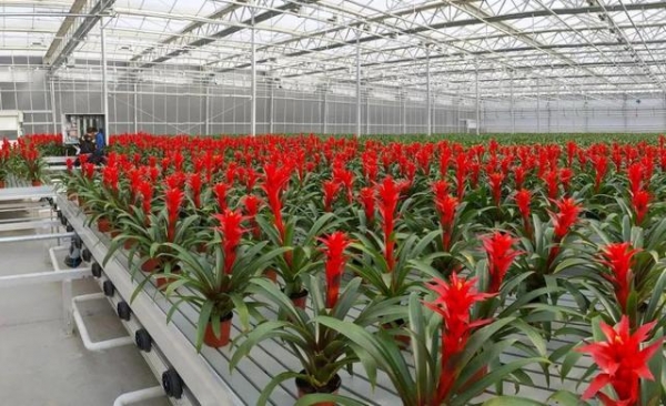 这个冬季，来兰州新区开启阳光之旅  冬春旅游暖心指南-6.jpg