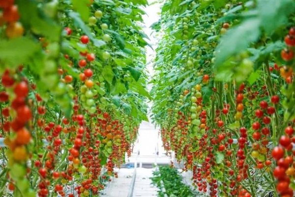 这个冬季，来兰州新区开启阳光之旅  冬春旅游暖心指南-13.jpg