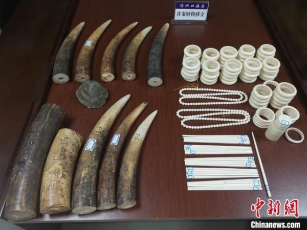 水口海关向林业局移交走私动物制品 共115件重约33.36千克-1.jpg