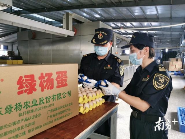 湛江海关助力17种粤西佳果首次走向世界-3.jpg