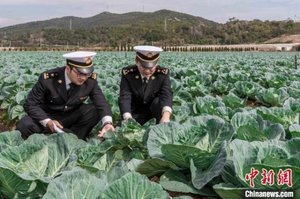1月-11月宁波外贸进出口达8895.6亿元 同比增长7.1%-1.jpg