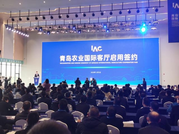 青岛农业"国际客厅"启用！农产品年进出口总额将超百亿美元-1.jpg