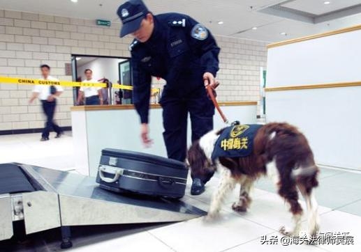 执法探讨｜被海关的检疫犬咬了，该打民事诉讼还是行政诉讼？-2.jpg