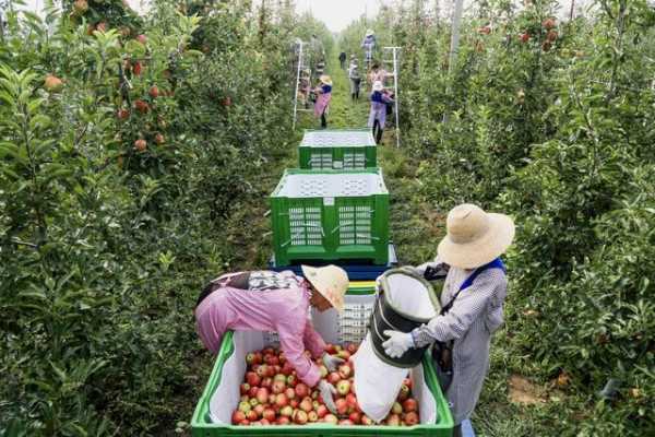 支持进出口贸易发展 服务新时代对外开放-5.jpg