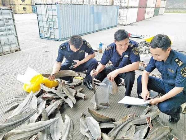 云浮海关“十三五”发展回眸：守初心不辱使命 踏征程逐梦前行-5.jpg