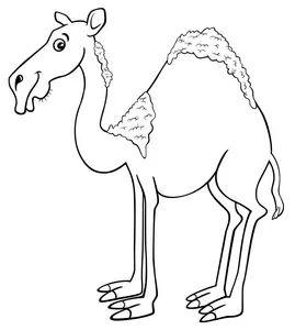 出入境常见传染病卫生大讲堂 | 中东呼吸综合征-5.jpg