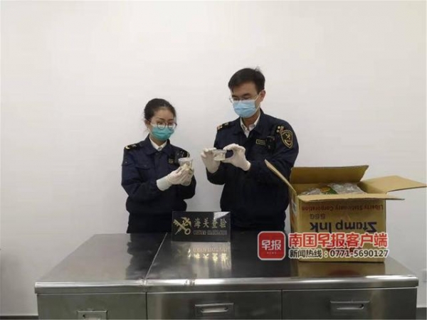 起鸡皮疙瘩！南宁海关部门在玩具包裹内发现2盒活体虫-2.jpg