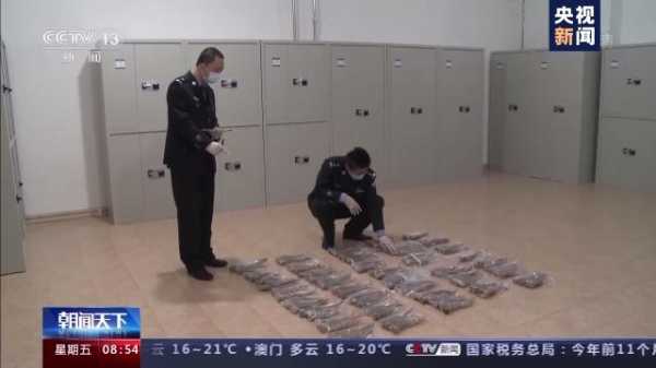 179根高鼻羚羊角藏在哪了？满洲里海关查获一起走私案-4.jpg