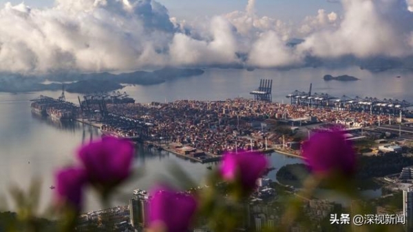 深圳前11月进出口2.74万亿元 实现双增长-2.jpg