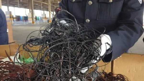 多地海关查获“洋垃圾”-3.jpg