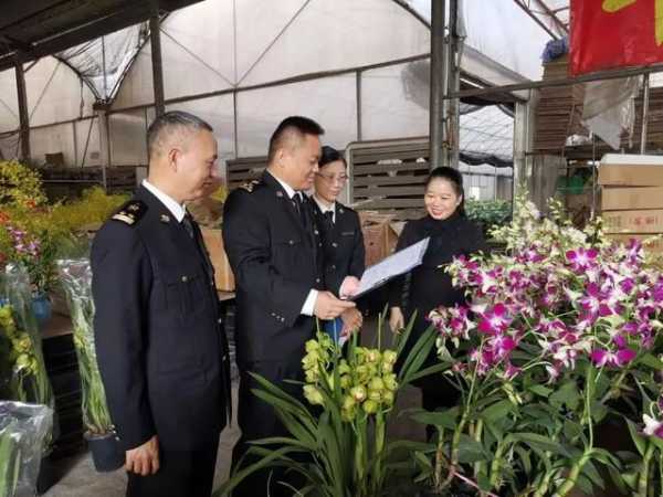 解读 | 种苗花卉出口那些事-3.jpg