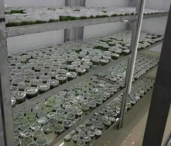 解读 | 种苗花卉出口那些事-4.jpg