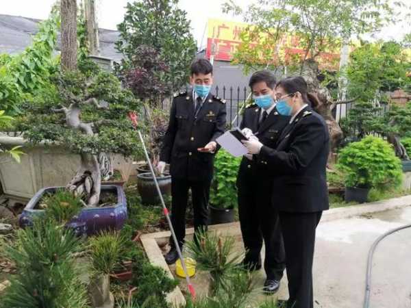 解读 | 种苗花卉出口那些事-5.jpg