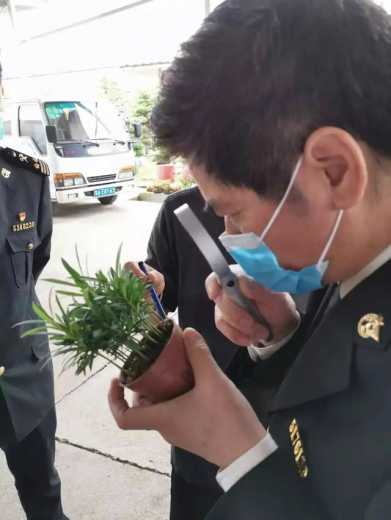 解读 | 种苗花卉出口那些事-8.jpg