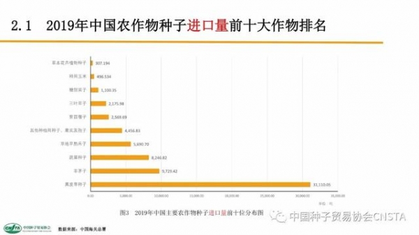 这类种子年进口额超2亿美元！中国农作物种子进出口数据分析-7.jpg
