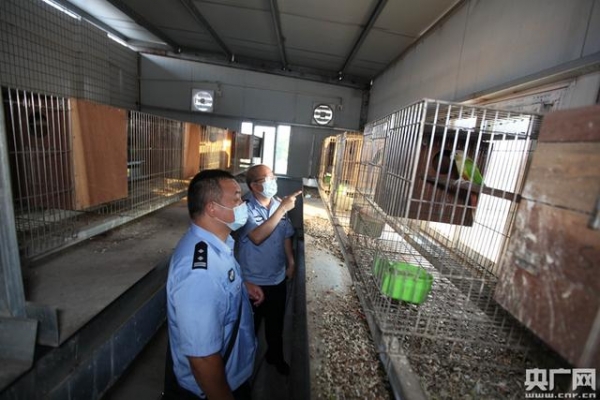 广州海关“国门利剑2020”行动成果显著：立案2.1万余起 案值超450亿元-4.jpg