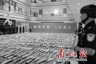 黄埔海关：亮剑“十三五”忠诚守国门-4.jpg