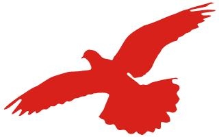 湾畔直播间 | 十九届五中全会还能这么学-9.jpg