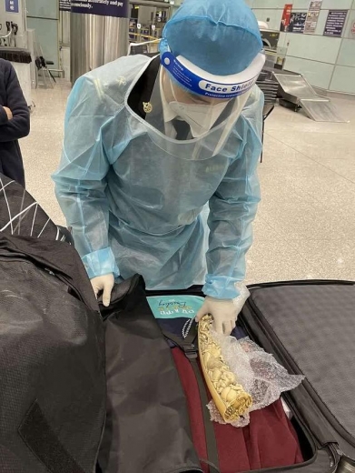 首都机场海关：打击象牙走私 斩断濒危物种及制品走私链条-1.jpg