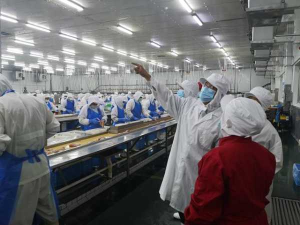 鞍山海关：优化全流程服务 助力鸡肉出口香港-1.jpg