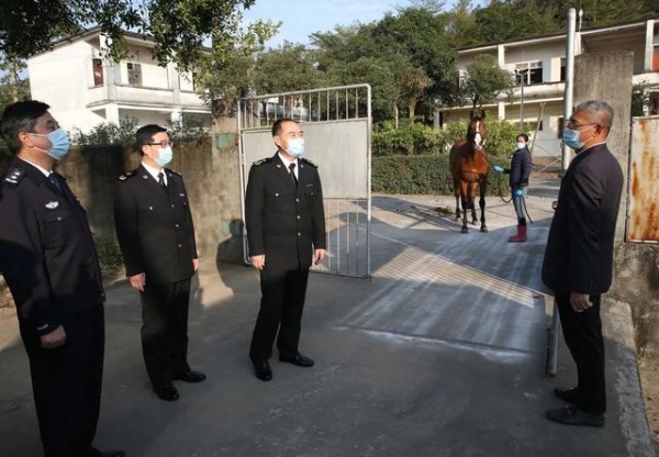 构建新发展格局 实行高水平对外开放-12.jpg