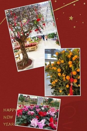 传统年 在新区——送春联 订年画 逛花市-7.jpg