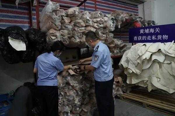 黄埔海关：5亿元牛皮走私大案破了，现场查扣涉嫌走私进口牛皮329.96吨-2.jpg