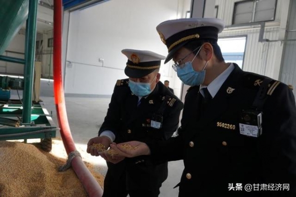 兰州海关完成兰州新区综合保税区今年首批进境玉米检疫监管-1.jpg