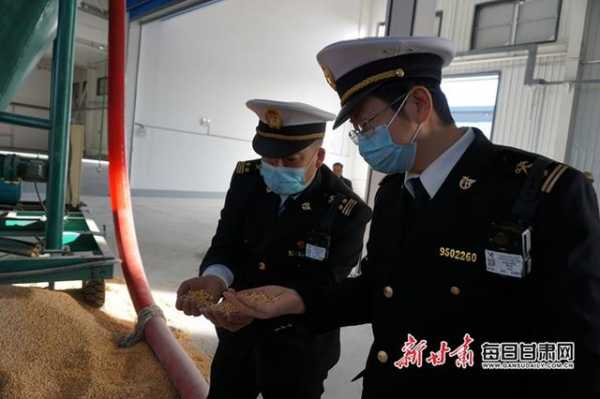 兰州海关完成兰州新区综合保税区今年首批进境玉米检疫监管工作-1.jpg