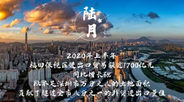 回望 | 365个战斗的日与夜，福田海关一直在路上-7.jpg