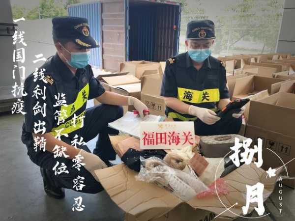 回望 | 365个战斗的日与夜，福田海关一直在路上-9.jpg