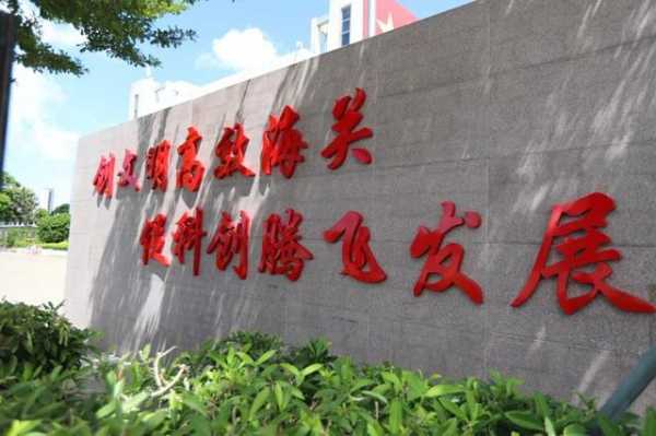 回望 | 365个战斗的日与夜，福田海关一直在路上-14.jpg