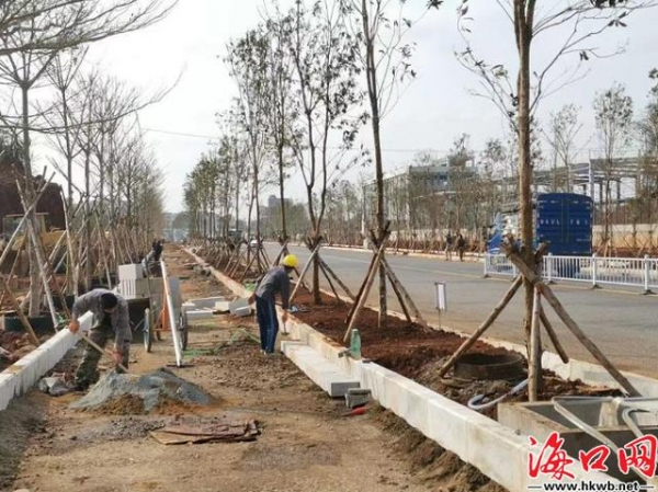 海口空港综合保税区供地任务完成 多个项目预计3月投入使用-1.jpg