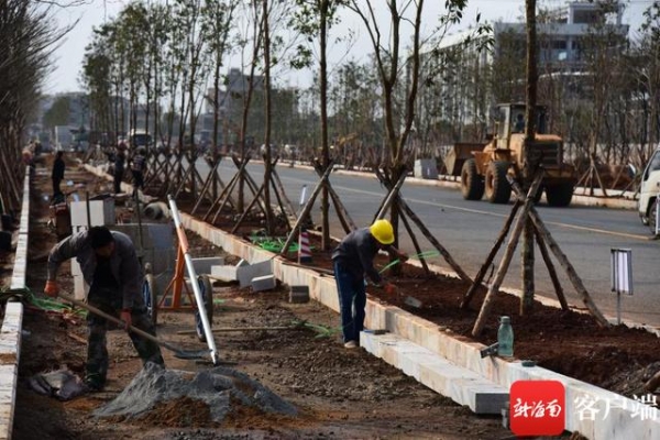 海口空港综合保税区供地任务完成 多个项目预计3月投入使用-1.jpg