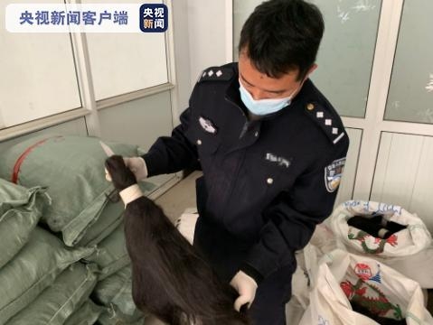 昆明海关破获特大人体毛发走私入境案件 案值1.5亿元-2.jpg