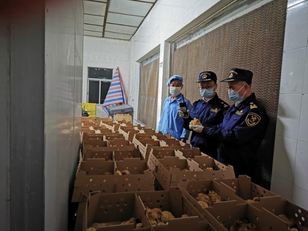 黄埔海关：全力保障春节期间供港食品稳定-1.jpg