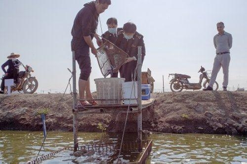 南沙海关：鱼满仓，快通关-2.jpg
