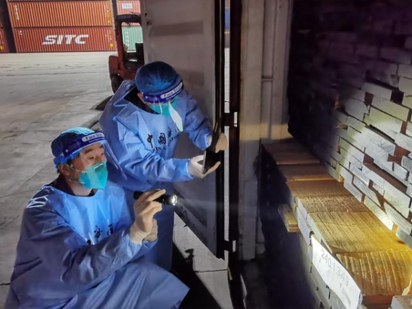 春节我在岗 进出口通关不打烊-2.jpg