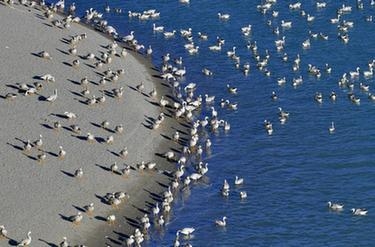 春节期间海口海关监管海南离岛免税销售额达9.97亿元-4.jpg
