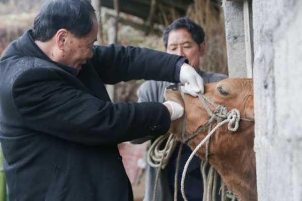 新春走基层 | 踏遍山水人未老-3.jpg